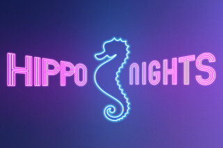 Dinak participera aux Nuits des Hippo Nights de Van Marcke